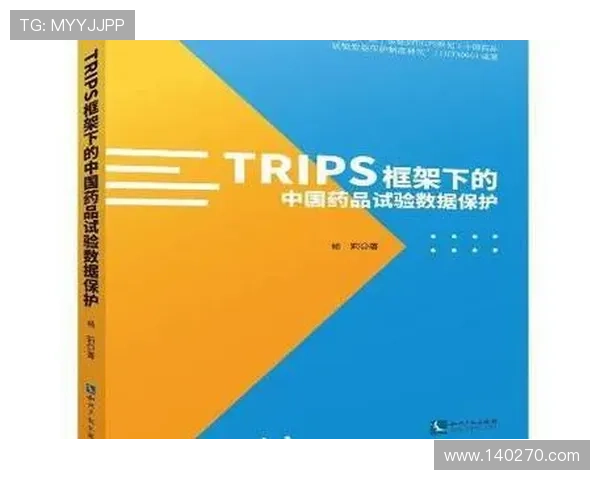 关于k8登录页面的安全防护措施与用户数据保护策略详解