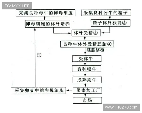 凯发注册首页：注册流程中的常见问题及解决方案详尽解析